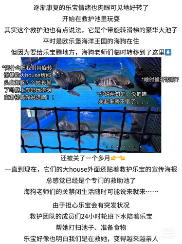 Camera 1040g34o31is6vq6o0sag414va2cbjv13grviung.jpg