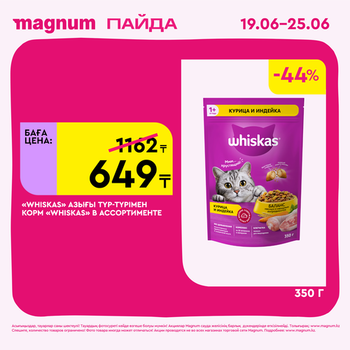 Magnum 1620x1620 1 tov 2025 06 18T105817.560.png