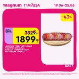 Magnum 1620x1620 1 tov 2025 06 18T105937.602