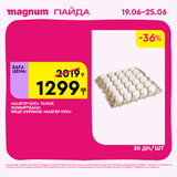 Magnum 1620x1620 1 tov 2025 06 18T110226.814