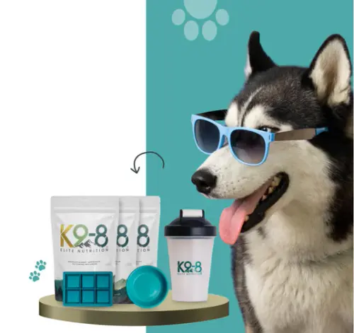 Find the Best Dog Supplements for Digestive Health.webp