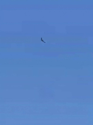 NNEsAJZw5KklC jRI3kcV8AhhBKGn1vwjNlkPoblVY1Vm R kDiiQCHLZpvwEEVK8FHODClKrSB5 w1lgEr3vmKhe2IZaU3k4IbT.jpg