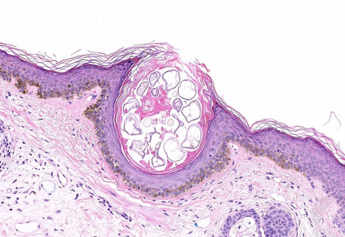 Gtryb KXcAAn7jM.jpg
