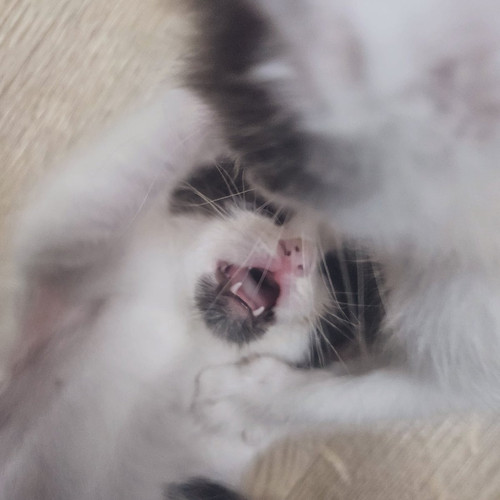 GtuaE9fWUAAY8CT.jpg