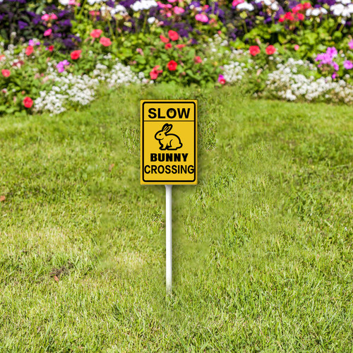 slow bunny crossing 2.jpg