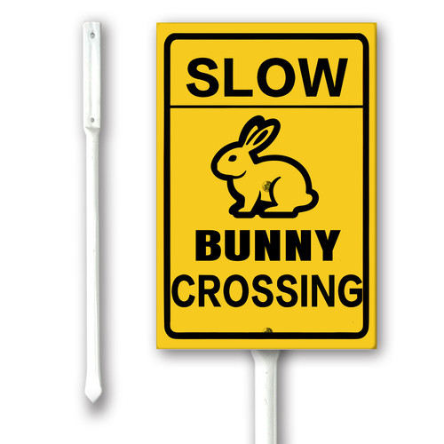 slow bunny crossing.jpg