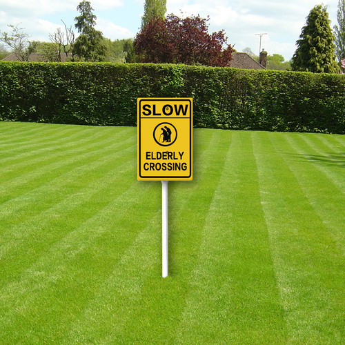 slow elderly crossing 002 1.jpg