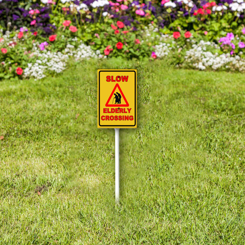 slow elderly crossing 003 2.jpg