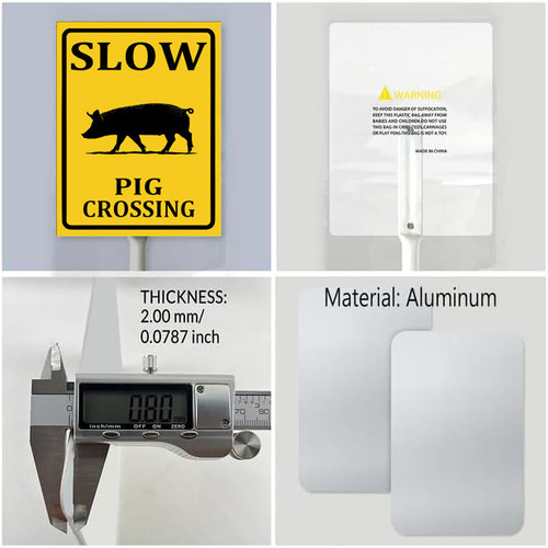 slow pig crossing 5.jpg