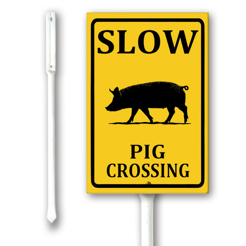 slow pig crossing.jpg