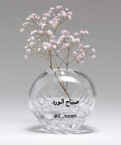 GtsHlIiaQAI dft.jpg
