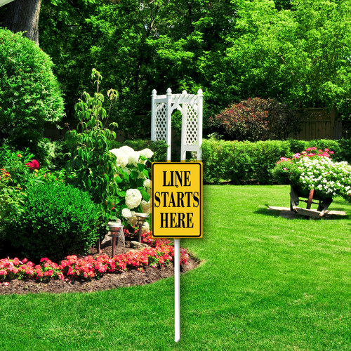 line starts here 001 5.jpg