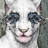 birman thumb.png