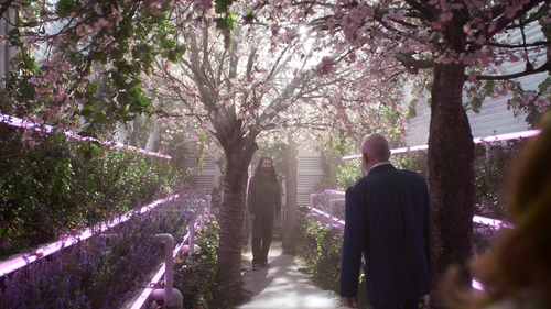 Screenshot 2025 06 17 161325