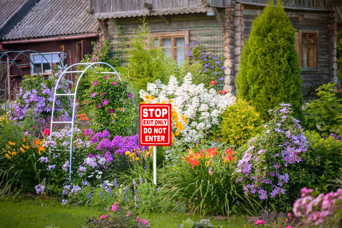 10.png