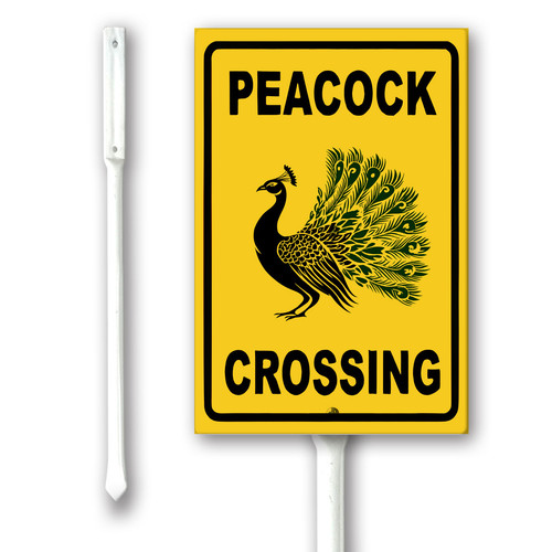 peacock crossing.jpg