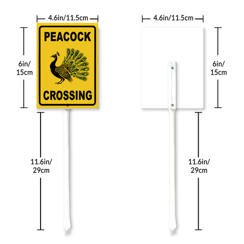 peacock crossing 6.jpg