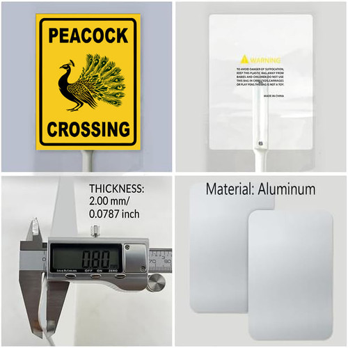peacock crossing 5.jpg