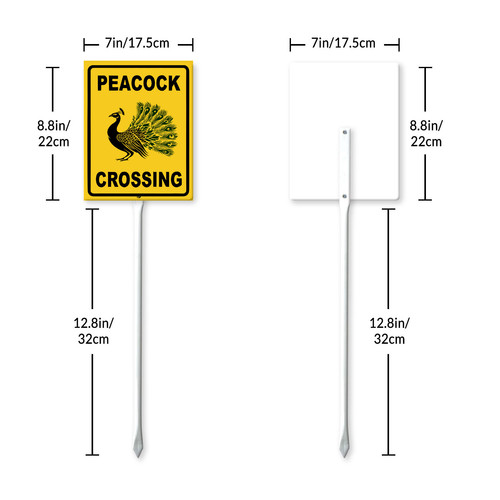 peacock crossing 7.jpg