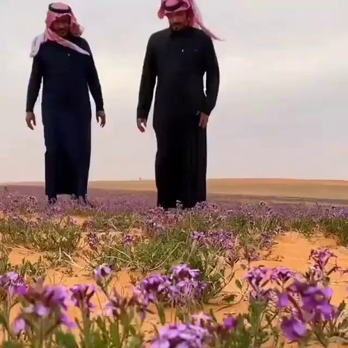 AskSbNAHs RqWo0X.jpg