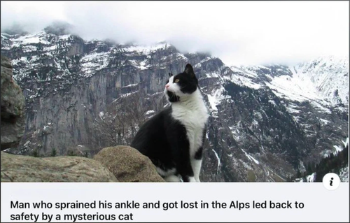 Screenshot 2025 06 18 at 5.44.58 PM.png