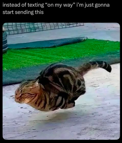 Screenshot 2025 06 18 at 9.57.01 AM.png