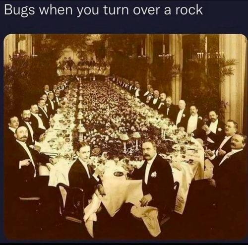 Screenshot 2025 06 18 at 9.54.34 AM.png