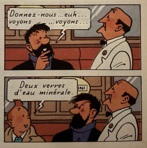 Tintin IMG 2481.jpg