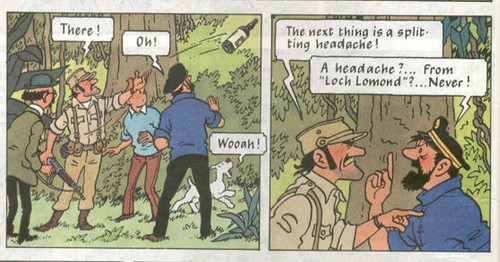 Tintin IMG 2800.jpg