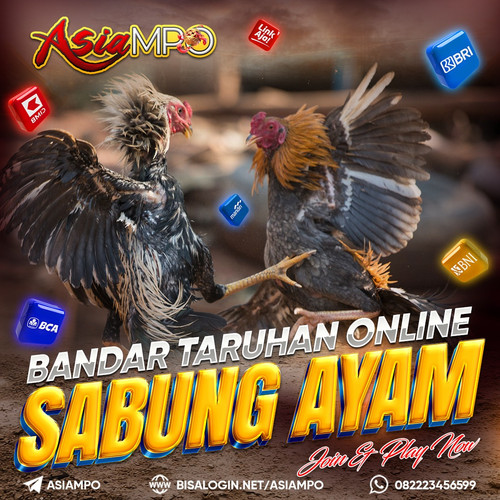 ASIAMPO AGEN SABUNG AYAM BANGKOK.jpg