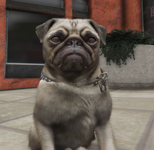 Screenshot 2025 02 21 055735.png