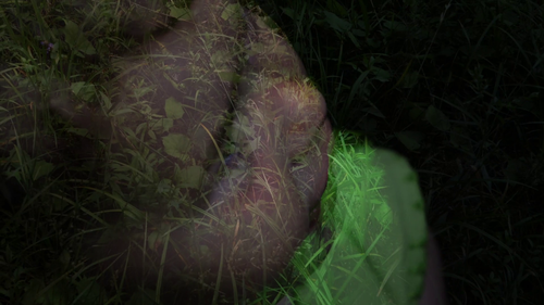 vlcsnap 2025 06 17 17h56m33s994.png