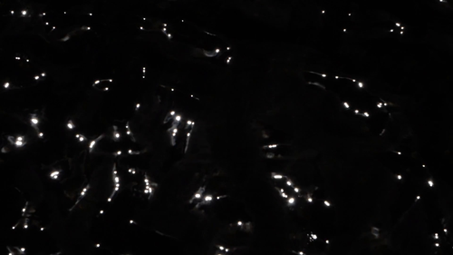vlcsnap 2025 06 17 18h02m37s289.png