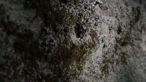 vlcsnap 2025 06 17 18h12m51s746.png