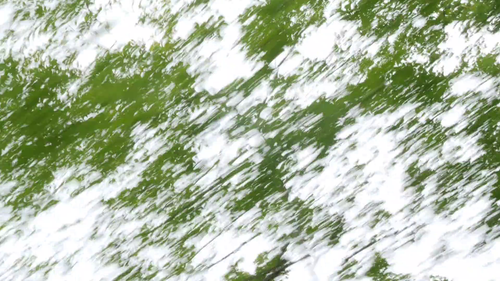 vlcsnap 2025 06 17 17h56m59s852.png