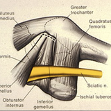 a3d9a274464c.png