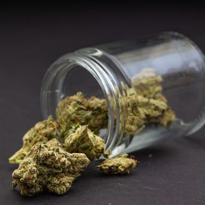 DC Cannabis Dispensary | Exotic Dreams.jpg