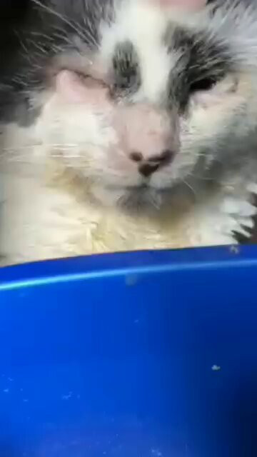 kaFWl1Y0AN6TfjYk.jpg