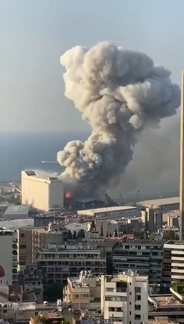 Zy WidJUJR6seJtU.jpg