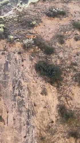 FzyQTrBOZ9VT trn.jpg