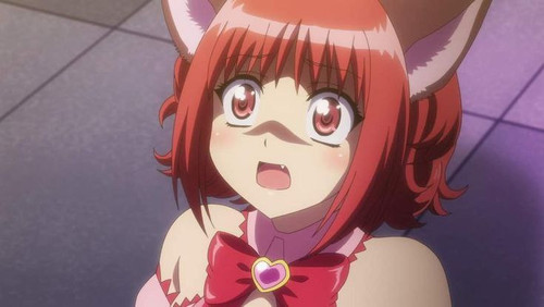 file 7095.jpg