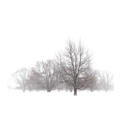 IMG 1895.png