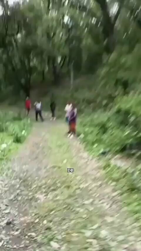 jXddJPj8y8FR5TqJ.jpg