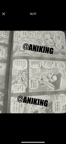 IMG 9335.png