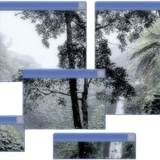 IMG 1897.png