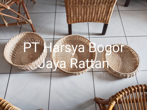 IMG 20250617 125316.jpg