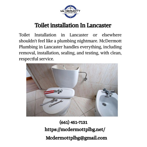 Toilet installation In Lancaster.jpg