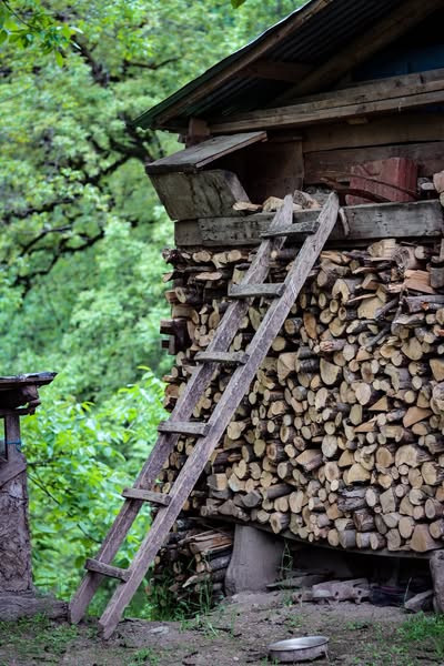 509601789 1089988269862665 5437630605278412082 n.jpg?stp=dst jpg s600x600 tt6& nc cat=106&ccb=1 7& n.jpg