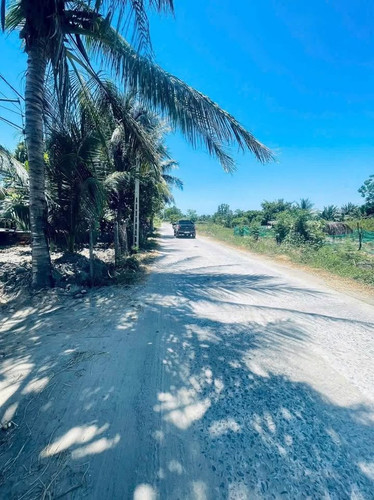 509153717 3146914745485198 1870257827049383139 n.jpg