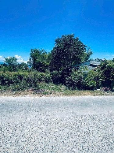 508328565 3146914758818530 8336862792655232129 n.jpg